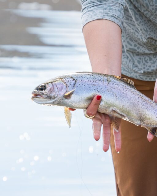 While the river rests, we start shaping what’s next.
Next season is already on its way.
Send us a DM to start planning.
Mientras el río descansa, empezamos a pensar lo que viene.
La próxima temporada ya está en marcha.
Escribinos y empezá a planificar.
#SteppePatagonia #FlyFishing #GlampingLife