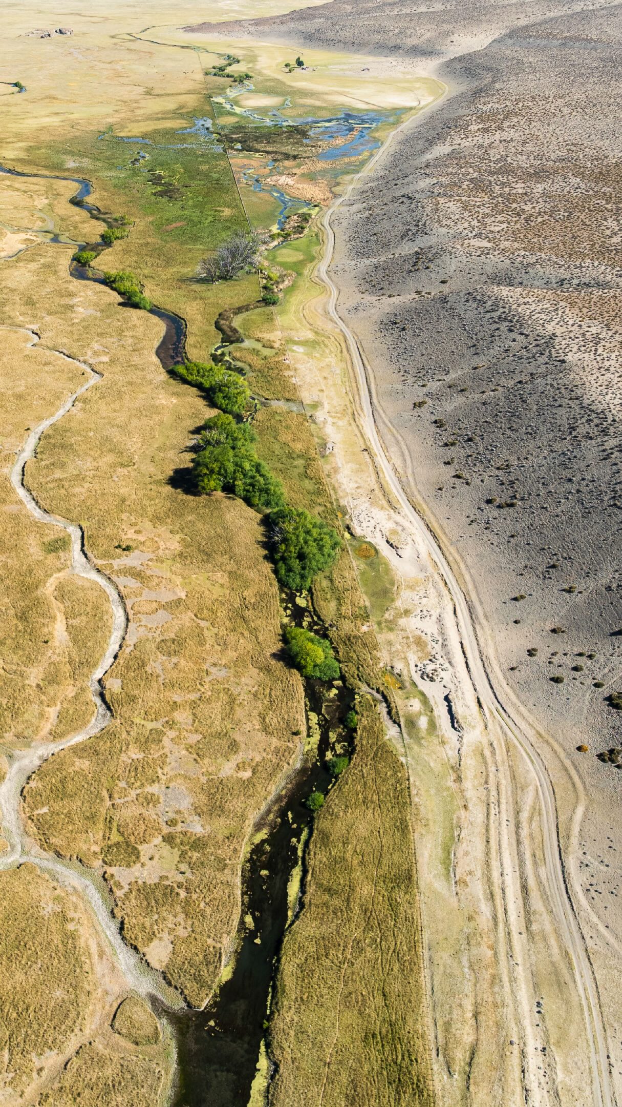 The pace slows down, but Patagonia remains.
This is just the beginning of what’s next.
Stay close.
Español
El ritmo baja, pero la Patagonia sigue.
Esto recién empieza.
Seguinos de cerca.
#SteppePatagonia #FlyFishing #GlampingLife