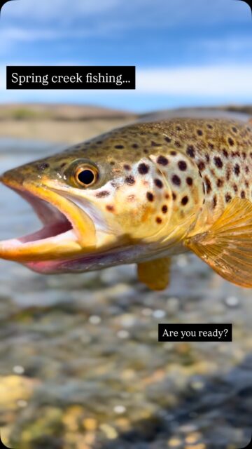 New season is coming….. ! Are you ready for some wading fishing?