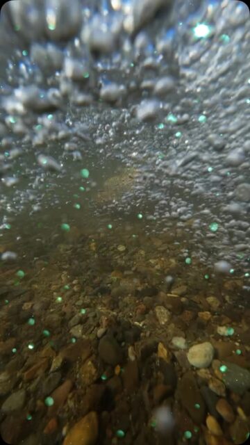 Winter fishing with Patagonia Steppe Outfitters
#flyfishing
#flyfishinglife
#patagonia
#patagoniasteppeoutfitters
#troutbum
